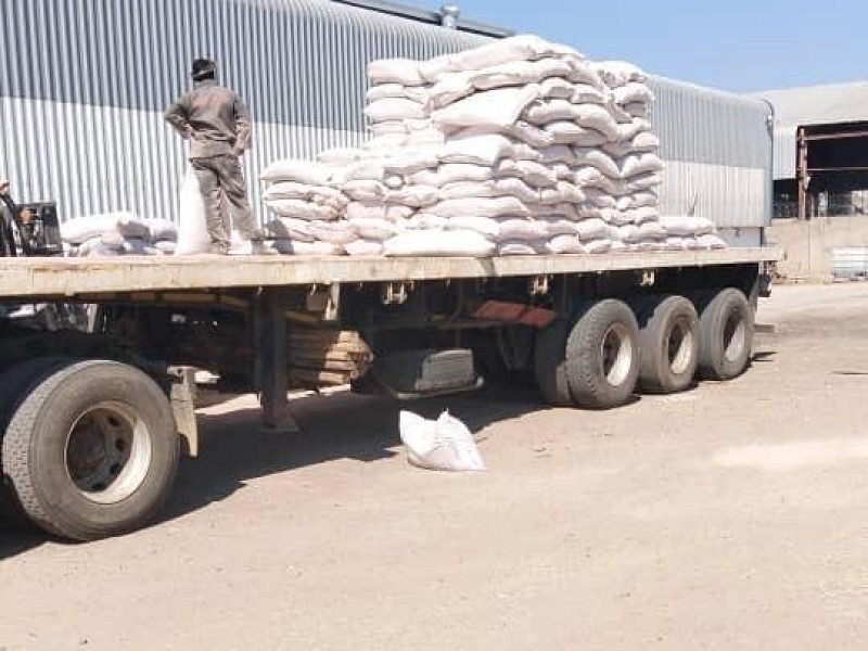 Flat-deck trailer being loaded with bagged agri-cargo